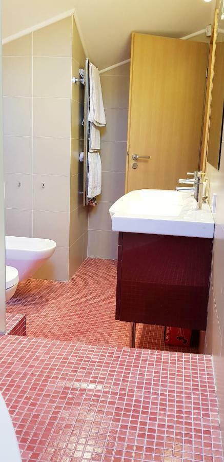 Exceptional Uzupis Bridge 3 Bedroom Apartment ヴィリニュス エクステリア 写真