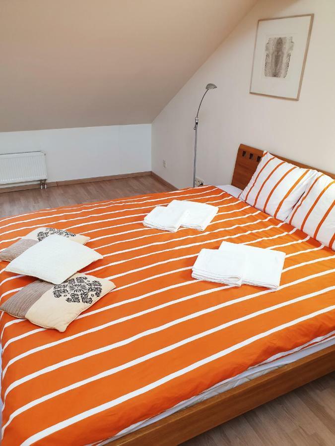 Exceptional Uzupis Bridge 3 Bedroom Apartment ヴィリニュス エクステリア 写真