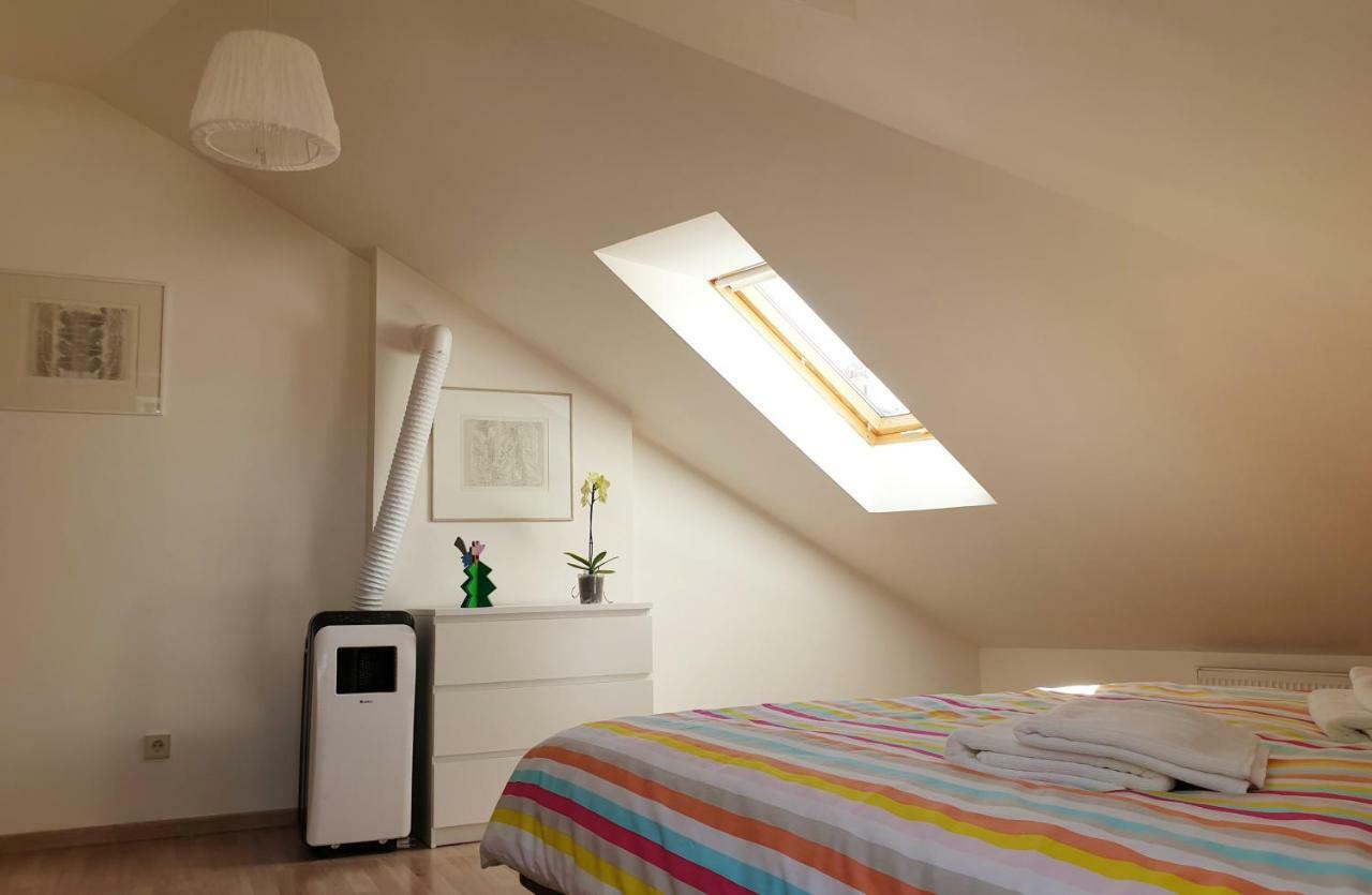 Exceptional Uzupis Bridge 3 Bedroom Apartment ヴィリニュス エクステリア 写真